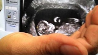 La ligne brune de Rachid Djaïdani