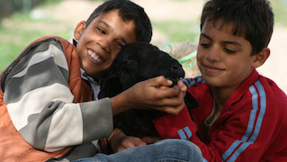 Image de Offrrande de Walid Mattar